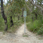 Most of this trail is bushtrack so bike riders are discouraged (31732)