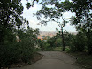 DSC01682.JPG