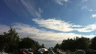 Forest Camping Rendlesham