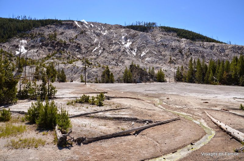 yellowstone artist paint pot