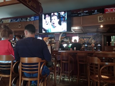 Photos of Bulldog
