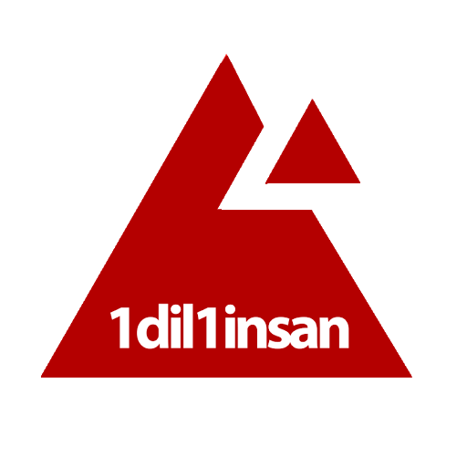 1dil1insan Yurtdışı Yaz Okulları logo