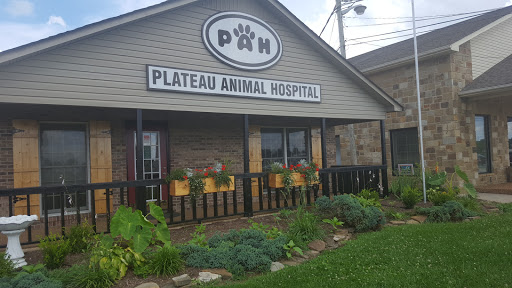 Animal Hospital «Plateau Animal Hospital», reviews and photos