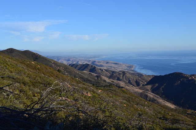 looking east along the coast