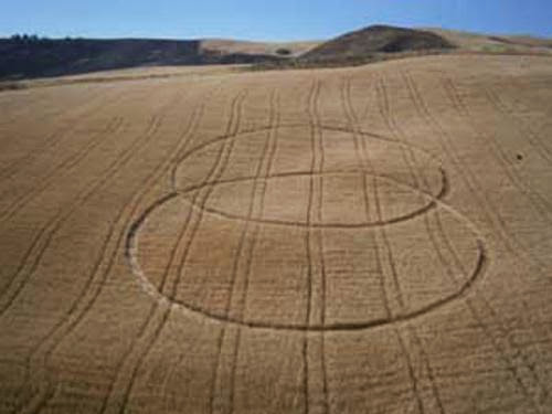 Signs And Symbols Crop Circle Formation Appears Near Enna Sicily Italy June 16 2013