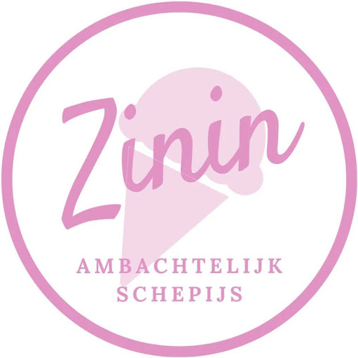Zinin logo