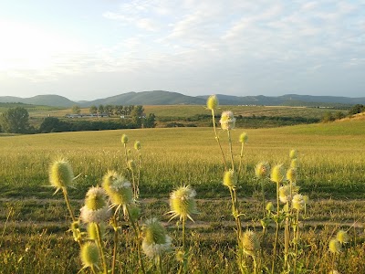 Photos of Bog&aacute;csi Therm&aacute;lf&uuml;rdő Kft.