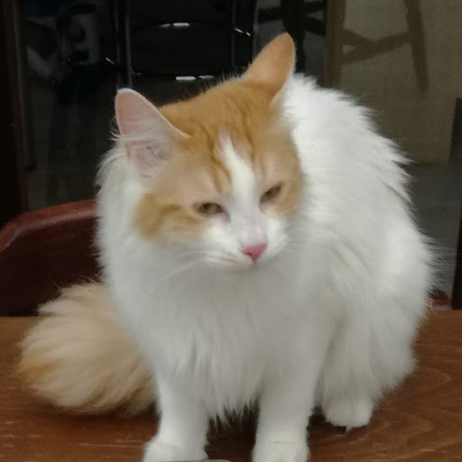 tiwaztyr