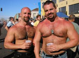 Happy New Year Collection 4 - Hot Hairy Hunks