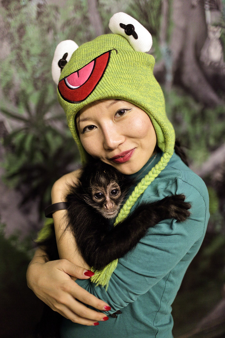 Baby Spider Monkey Pictures.