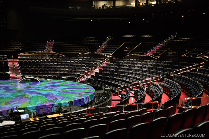 Behind the Scenes with Mystere Cirque Du Soleil Las Vegas.