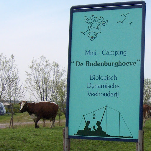 Mini camping De Rodenburghoeve
