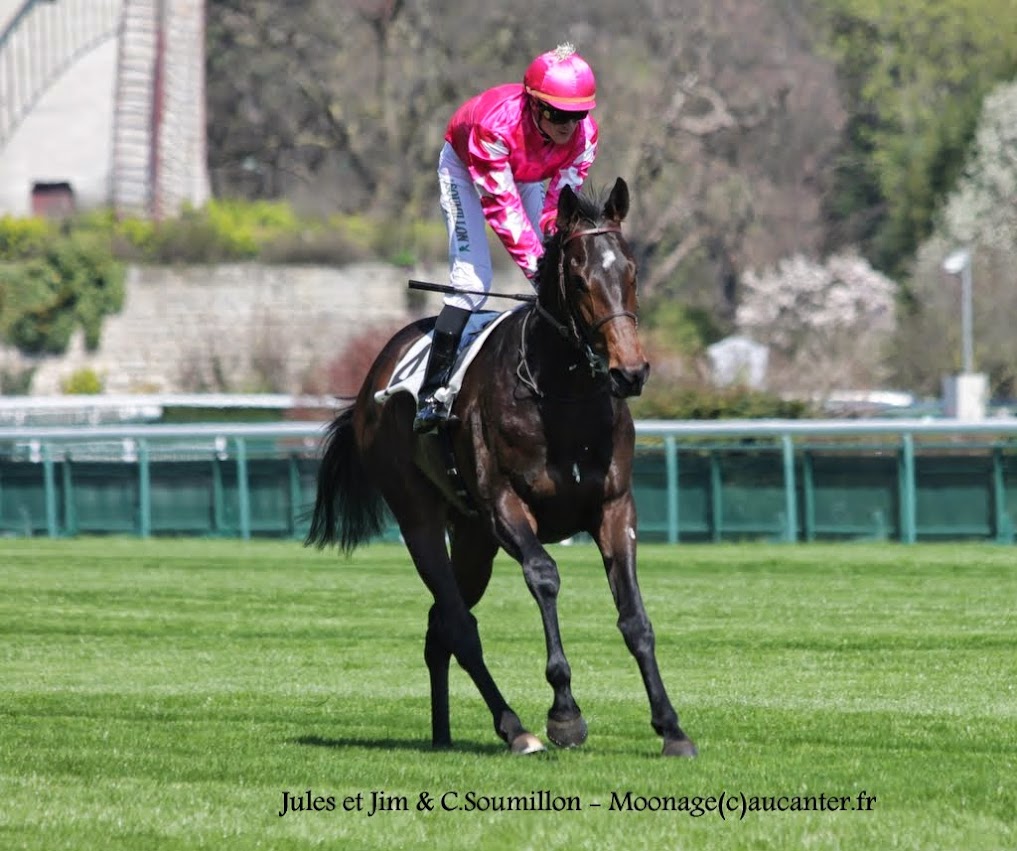 Photos Longchamp 6-04-2015  IMG_7782