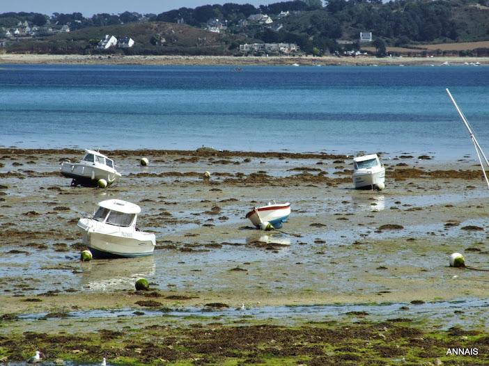 En ruta por la mágica Bretaña - Blogs de Francia - Con el mar en el horizonte (3)