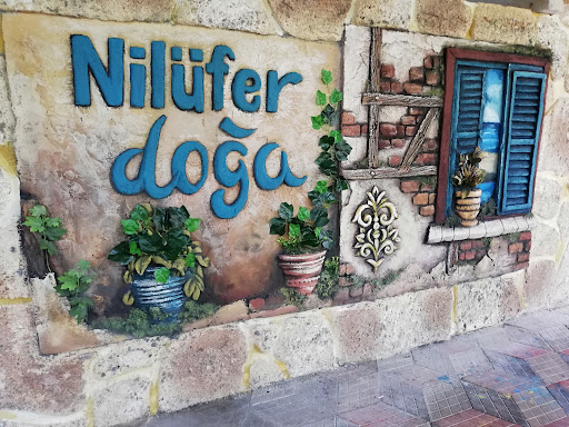 Nilüfer Doğa Restaurant logo