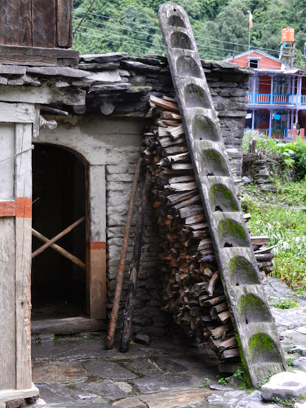 A Gyalsumdo House in Baggarchhp Village