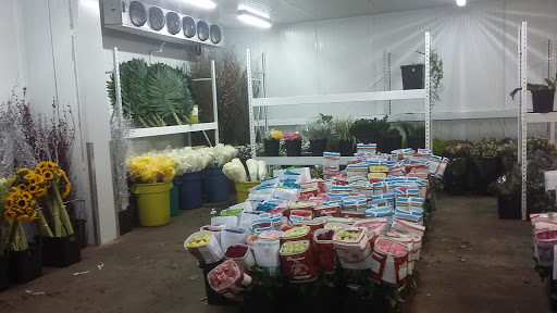 Bodega de Flores, Ejército Nacional 5225, Int. A, San José, Cd Juárez, Chih., México, Servicio de distribución | CHIH