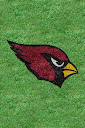 Arizona%252520Cardinals%252520Grass.jpg