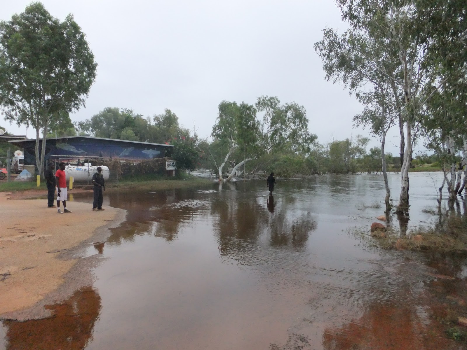 winanjjikari Ali Curung