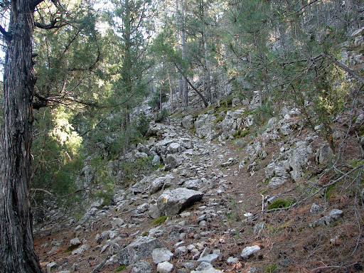 Senderismo: Cañón del río Alcalá - Navas Altas. PR-TE 26 GR-8