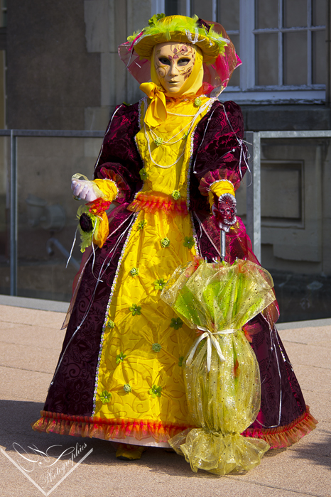 Carnaval Vénitien de Remiremont " Les Photos " SEBY1441