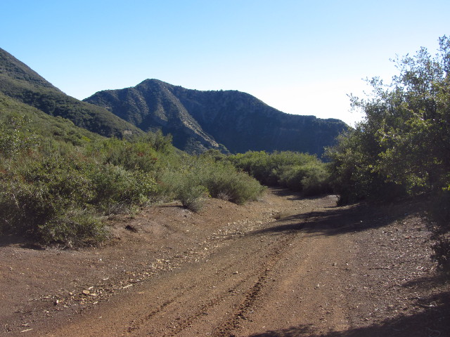 a bit of the road past the turnaround