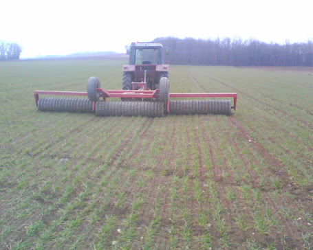 Roulage des céréales, comment faites vous ? IMG0224A