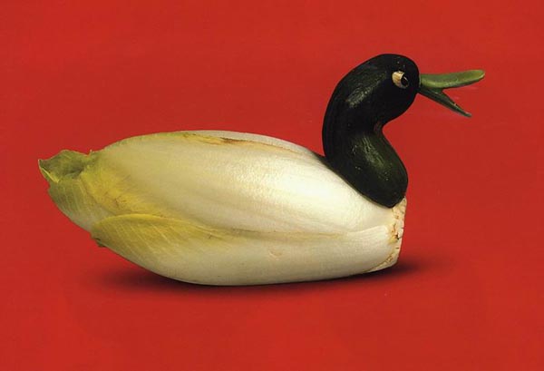 Food Art - Corn Duck