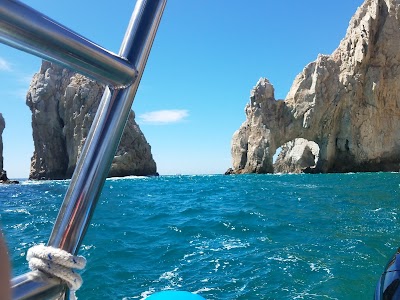 Photos of Whale Watch Cabo
