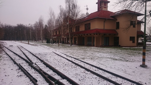 Nyiregyházi Vadaspark