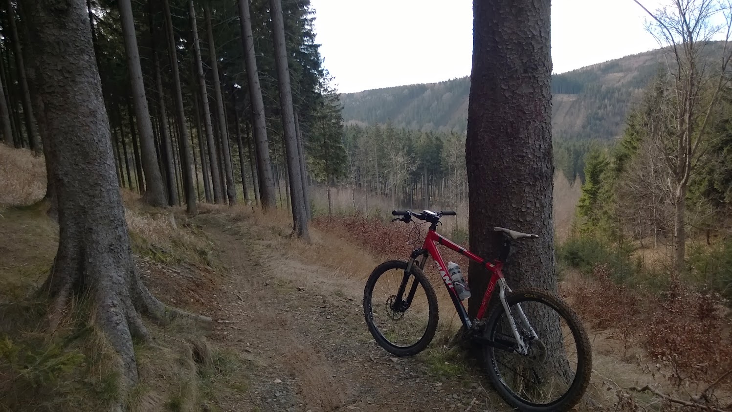 WP_20140208_002.jpg