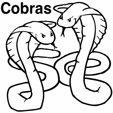 Criando cobras 001856_Cobras