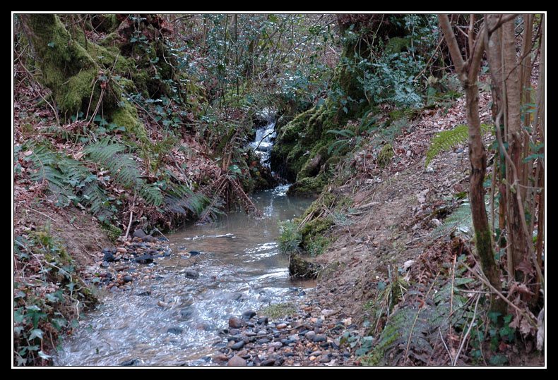 Dans mon Béarn adoptif: mon terrain de jeu! DSC_0936