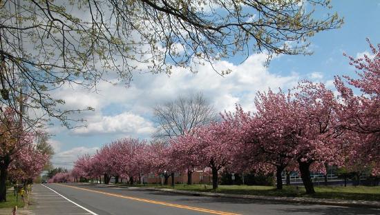 Cherry Hill:- Places to Visit in Cherry Hill, Nj