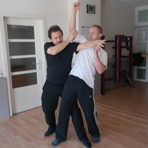 Studio für chinesische Bewegunglehre Tai Chi, Wing Chun, Bagua Kung Fu