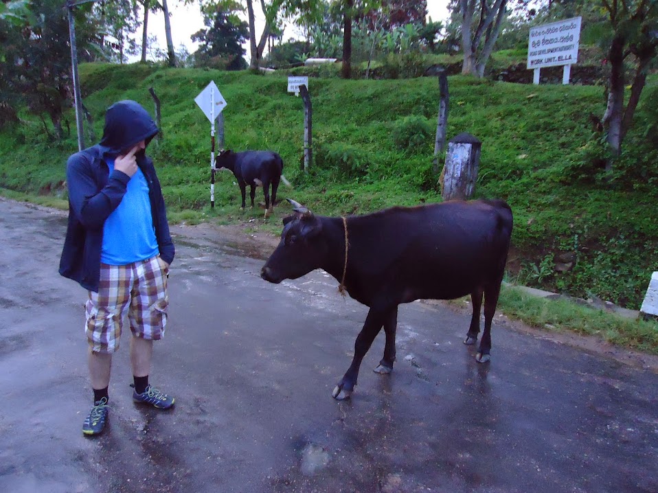 Шри-Ланка: 2 недели на троих, или бюджетный тур самостоятельных туристов