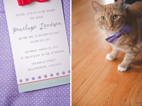 Cat themed bridal shower invitation