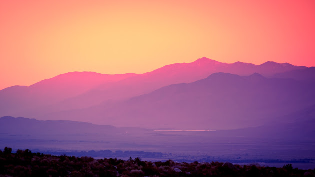 Cover photo