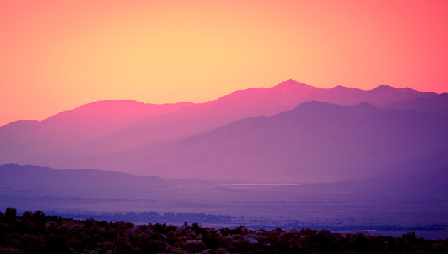 Cover photo