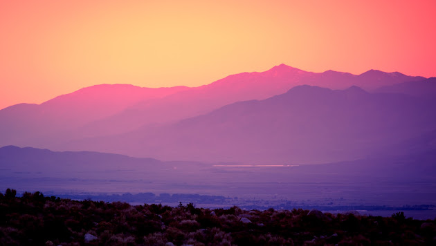 Cover photo