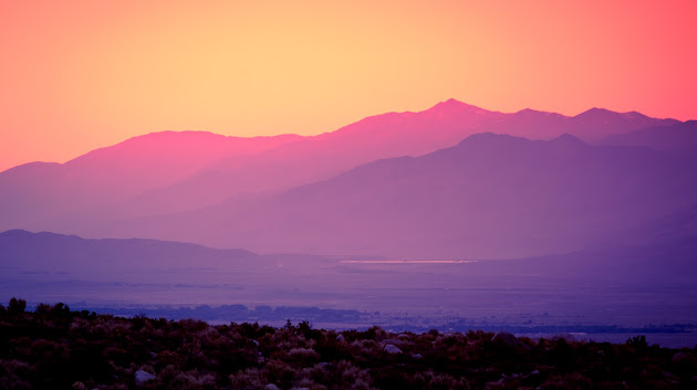 Cover photo
