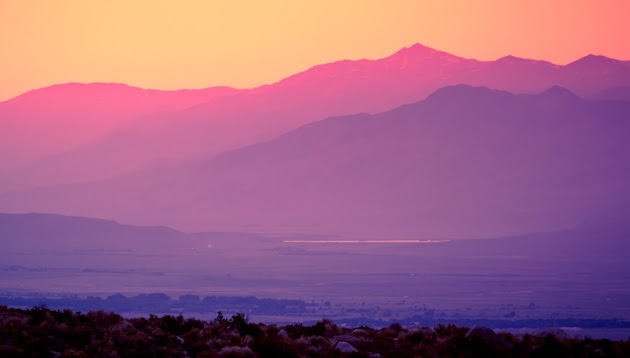 Cover photo