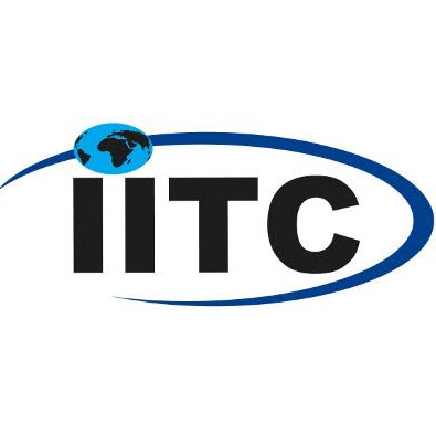 Hibernian Salt IITC logo