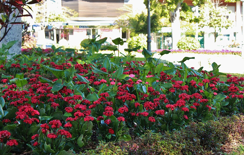 Круиз для лентяев и одиночек: Norwegian Spirit из Барселоны на Канары в январе 2013