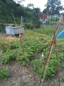 Allotment