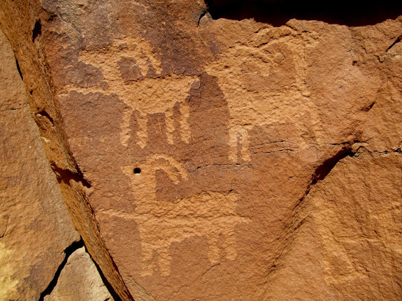 Sheep, some with lines through them and one with two heads