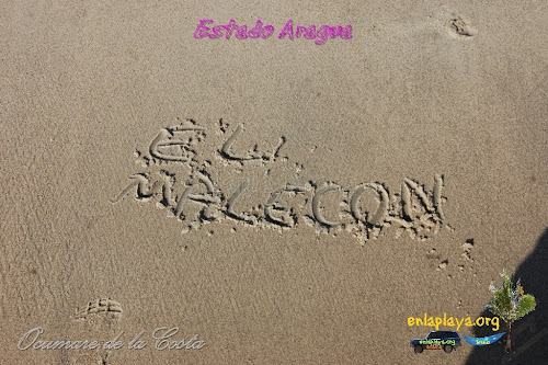 Playa El Malecon (Playon) Ar103 estado Aragua, sector Ocumare de la Costa