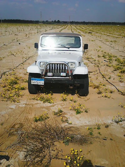Photos of Farm (patron Alolh) Sheikh Badr Bin Hamoud Almeza