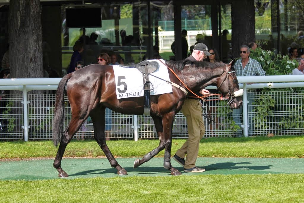 Photos Auteuil 8-06-2014  - Page 2 IMG_1837