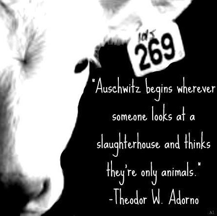 Résultat de recherche d'images pour "269Life"